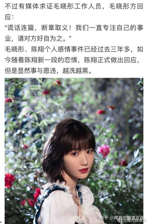 娱乐圈大瓜可以吃吗,揭秘明星幕后故事，一网打尽娱乐热点  第1张